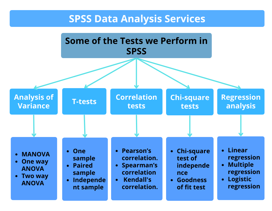 SPSS data analysis services